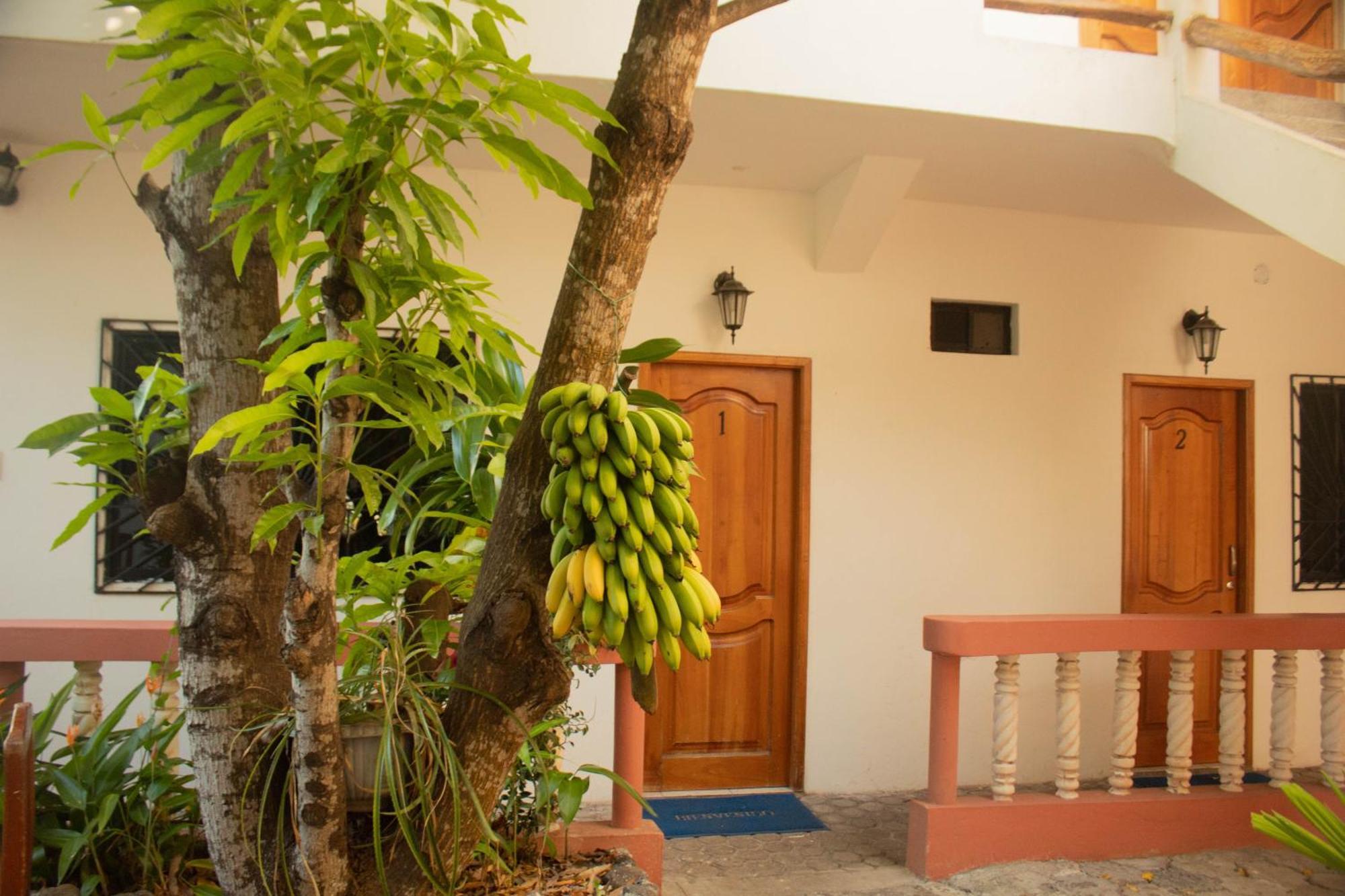Casa De Nelly 호텔 푸에르토 바케리조 모레노 외부 사진